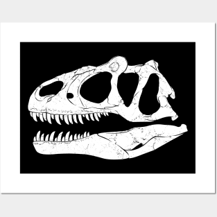 Saurophaganax Fossil Skull Posters and Art